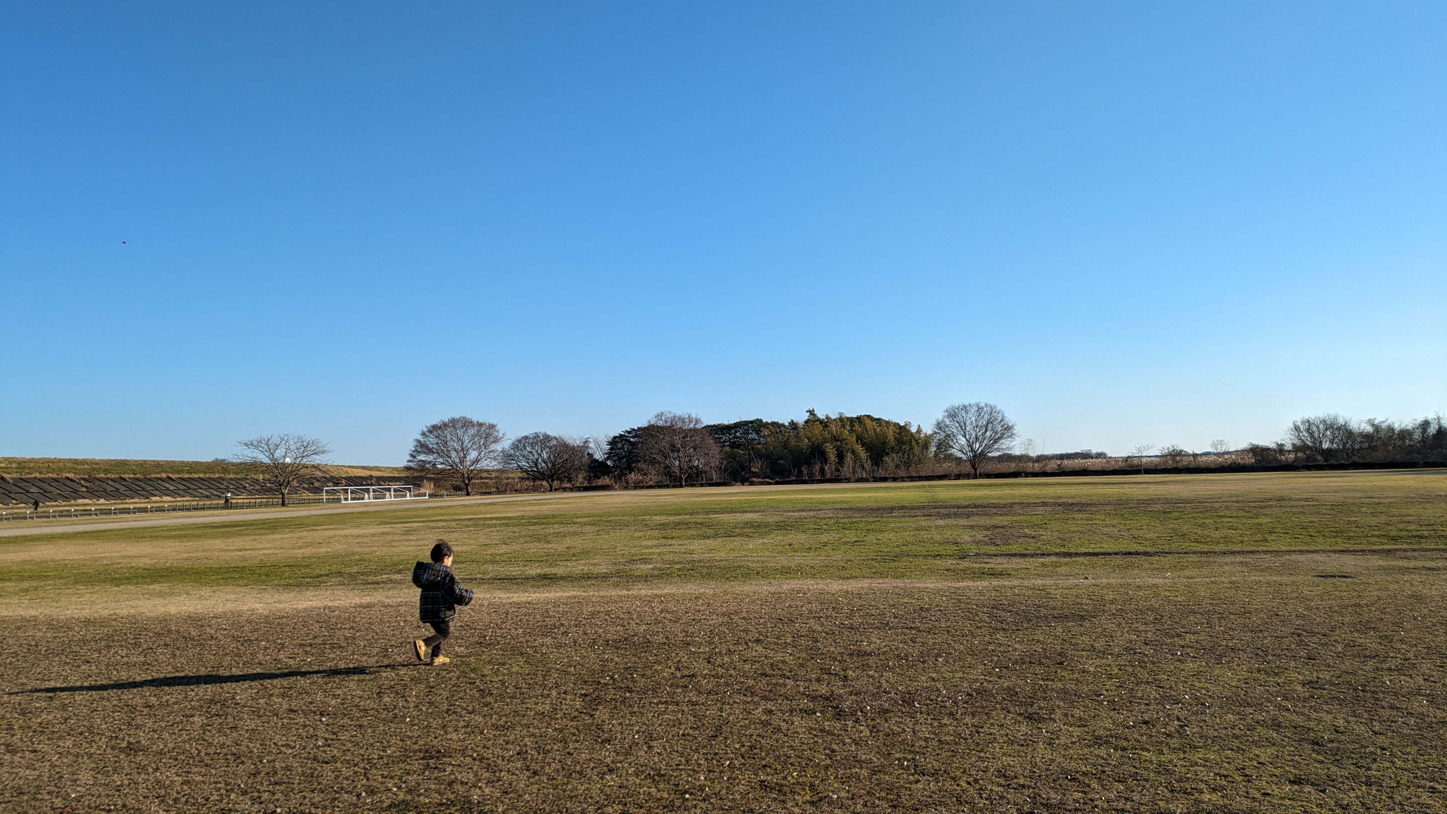 羽島の野原を駆ける子ども