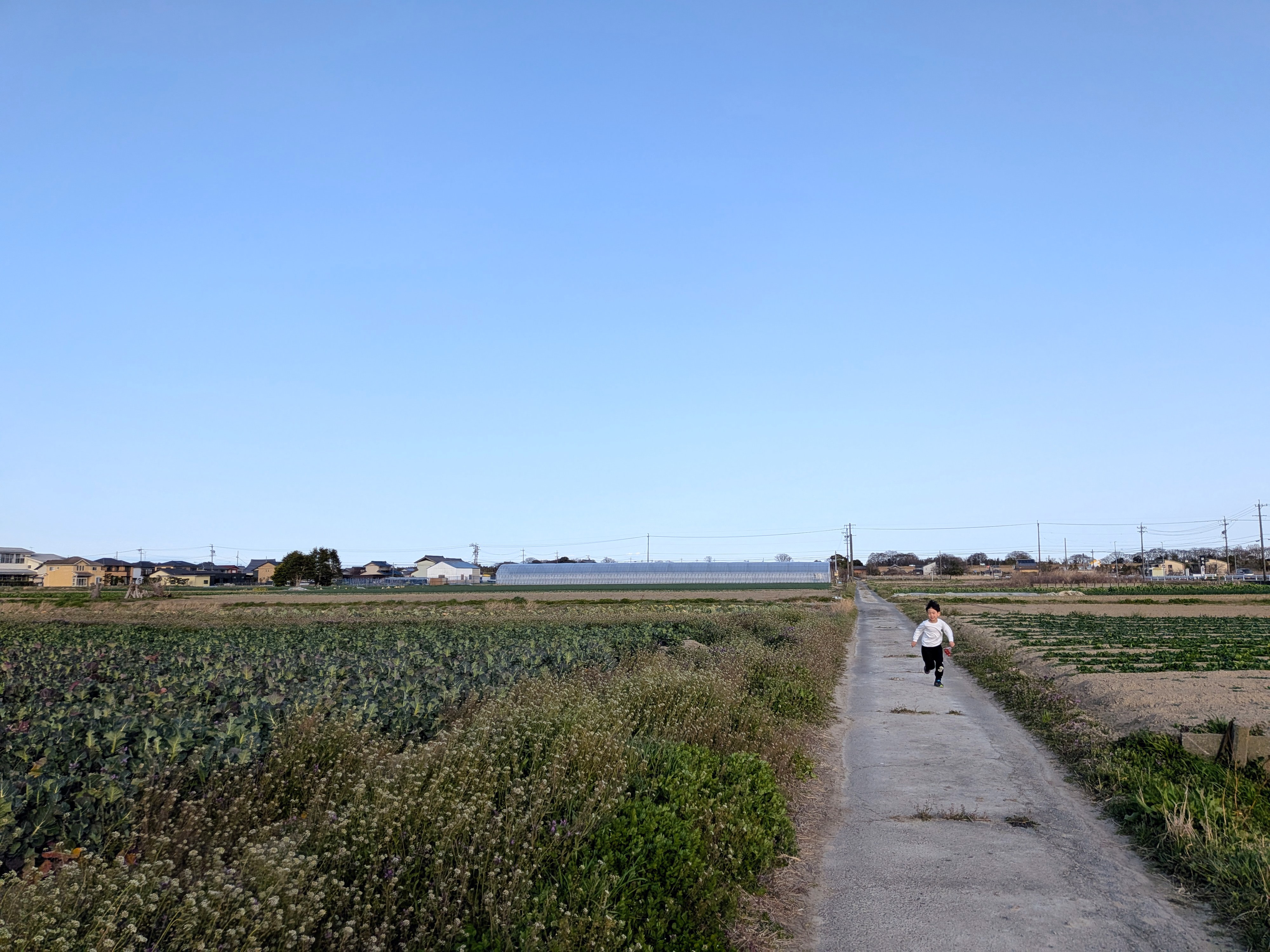 石原農園近くの風景